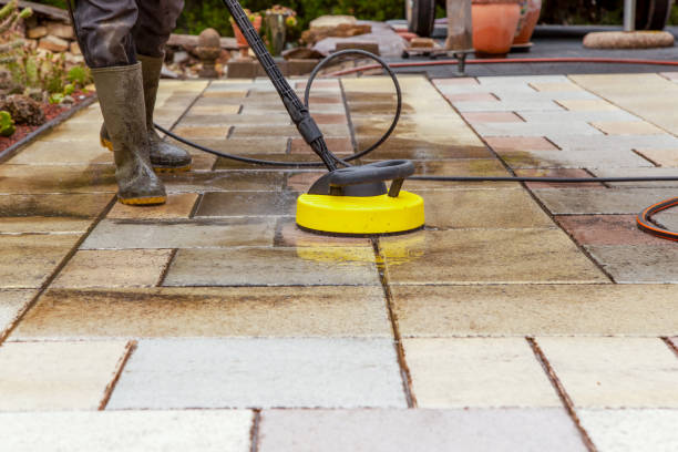 Best Animal Enclosure Cleaning  in Hackettstown, NJ